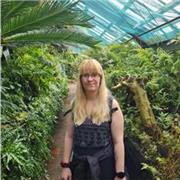 Englisch Nachhilfe für alle Klassen und Fähigkeiten!